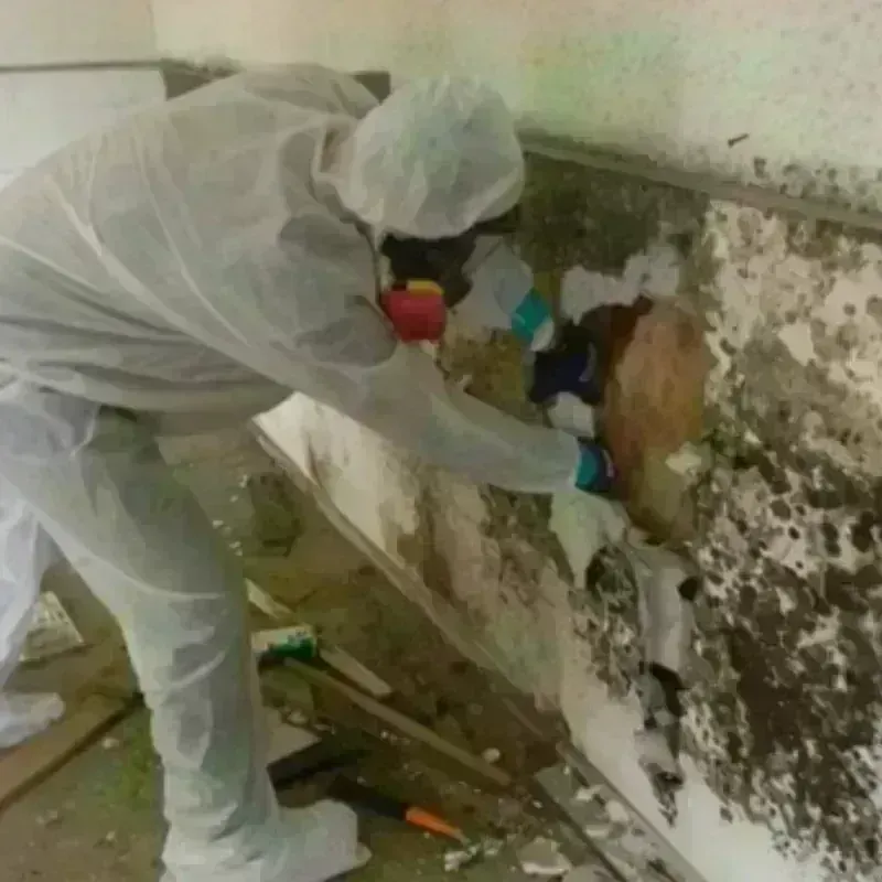 Mold Remediation and Removal in Conning Towers-Nautilus Park, CT